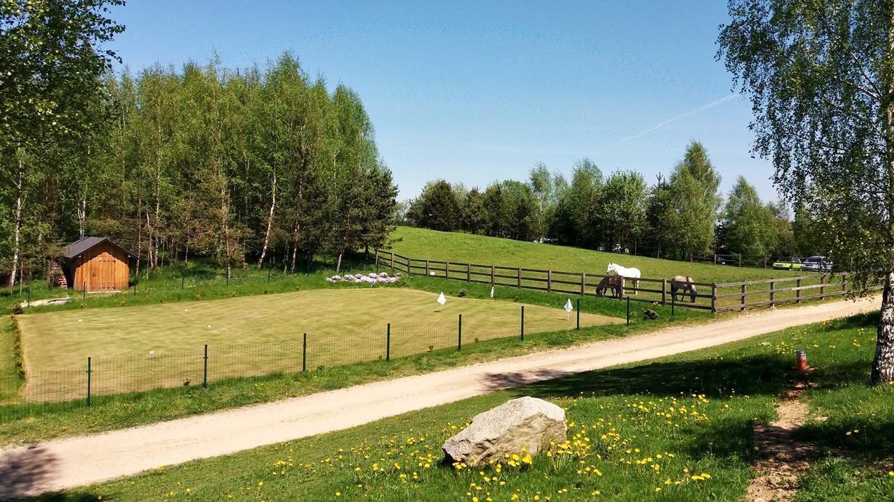 Palac I Folwark Nemino Sierakowice  Exterior foto